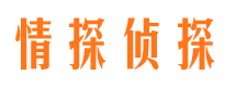 红安市侦探公司